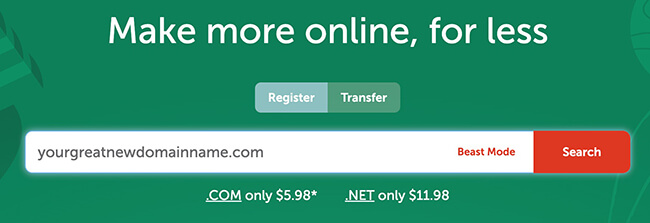 04 Namecheap 1 search box