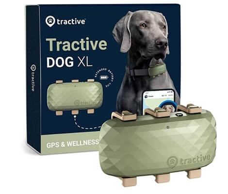 28 gps dog collar