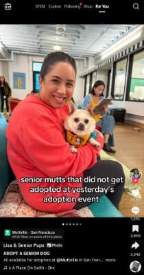 tiktok call to action caption