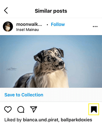 02 encourage your followers