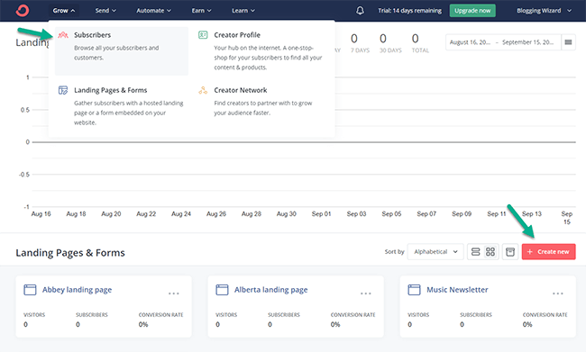 03 landing pages forms