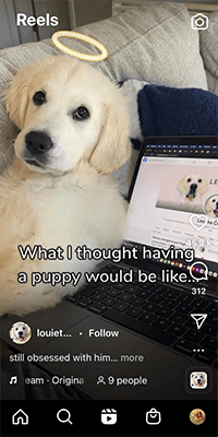 04 take advantage of reels