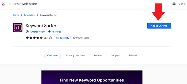 11 keyword surfer add to chrome