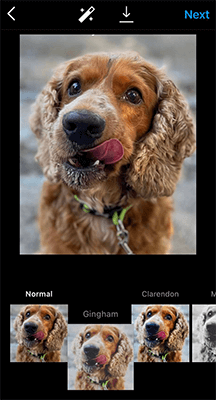 11 reorder your image filters