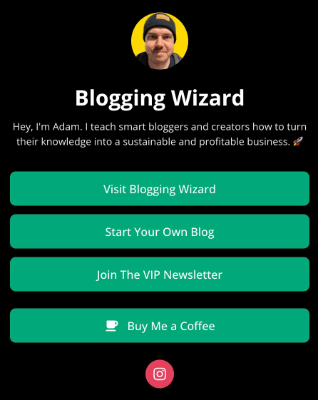 12 bio link tool blogging wizard
