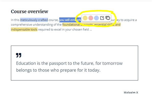 12 course player toolbar pop ups