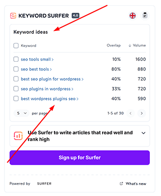 12 keyword surfer keyword ideas