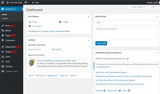 13 WordPress Dashboard
