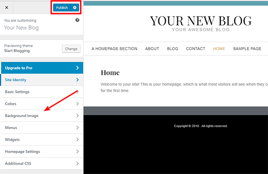 16 Appearance Customize Theme