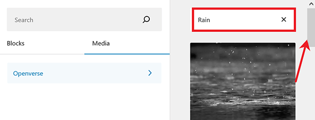 21 campaign and form builder openverse