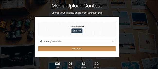 24 campaign and form builder template