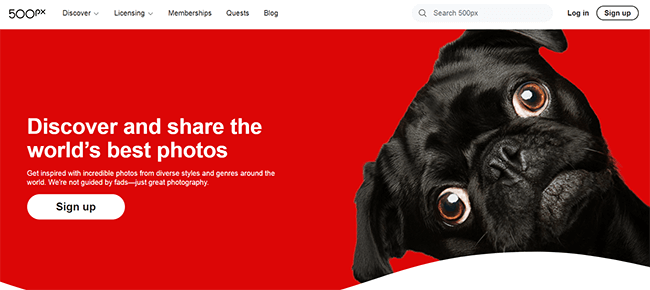 500px homepage