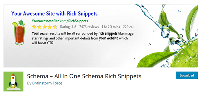All in One Schema Rich Snippet Homepage