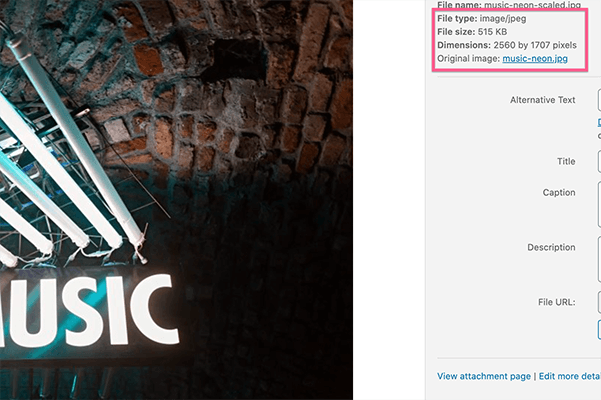 auto resize when uploaded to gallery