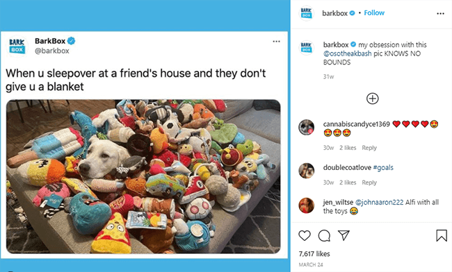 barkbox meme example