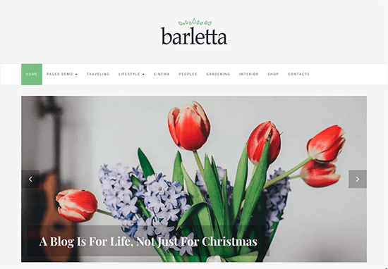 Barletta Theme