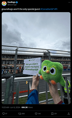 duolingo twitter post