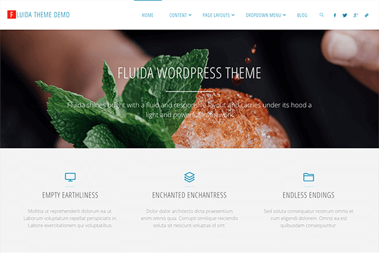 Fluida Theme