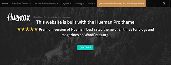 Hueman Theme