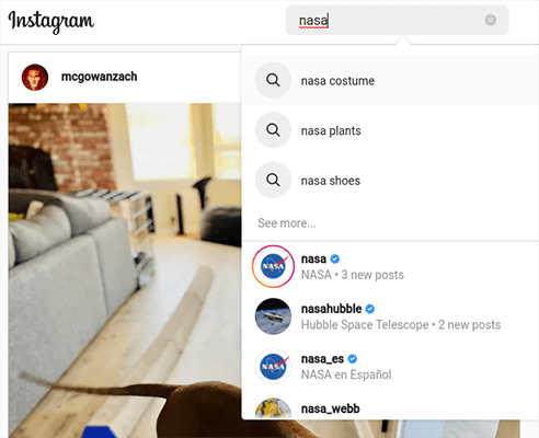 instagram search bar