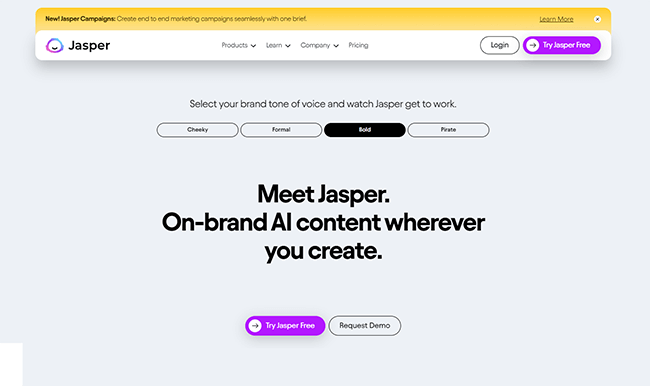 jasper homepage