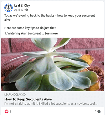 leaf and clay facebook link post