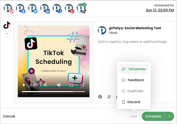 pallyy tiktok scheduling tool