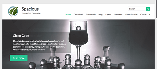 Spacious Theme
