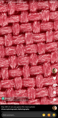 tiktok jakes macro nature